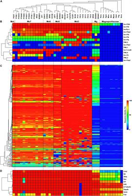 Evolution of the Genes Encoding Effector Candidates Within Multiple Pathotypes of Magnaporthe oryzae